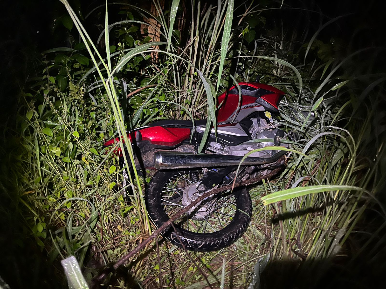 WhatsApp Image 2025-10-13 at 09.37.13